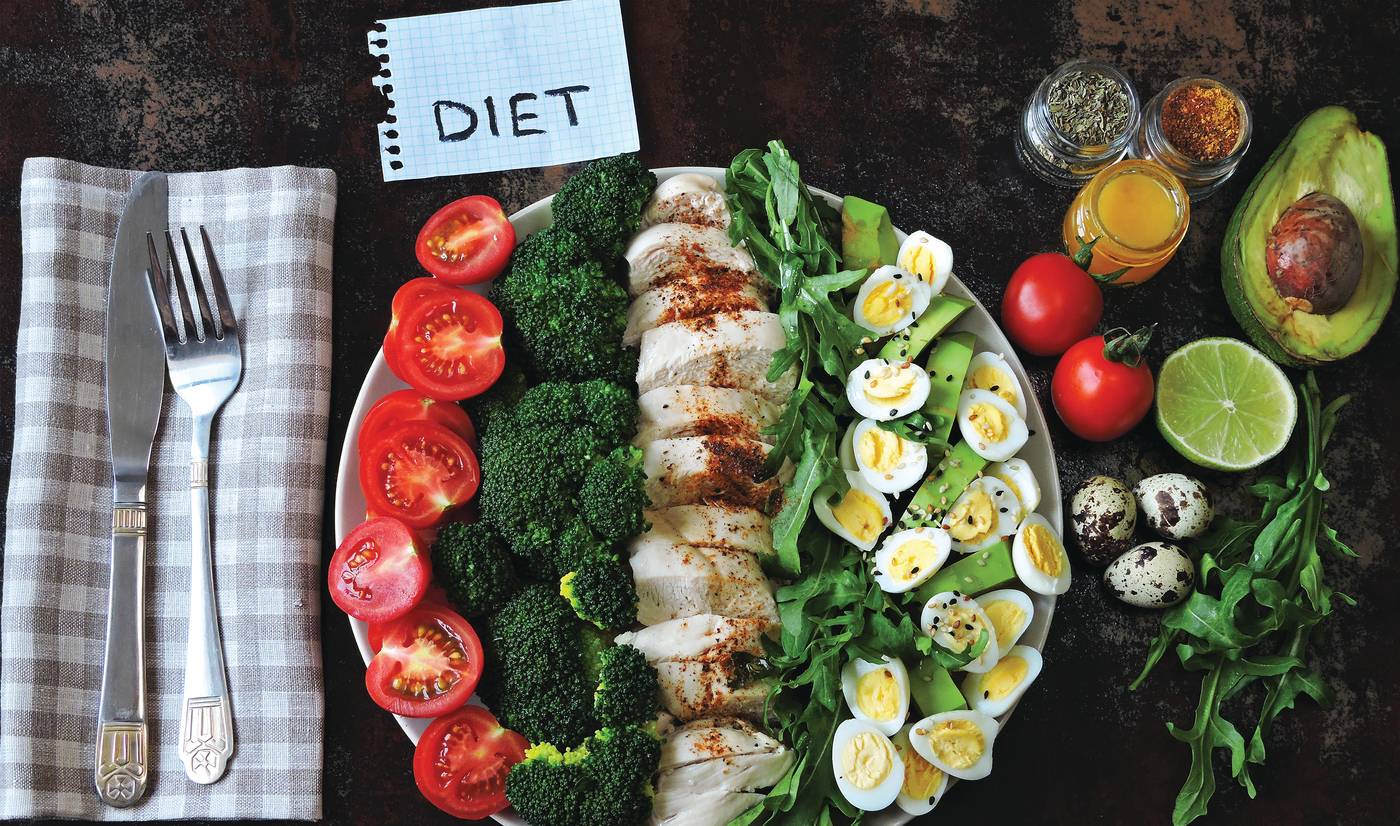 What is the Healthy Lifestyle Diet Program?