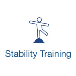 Stability Training